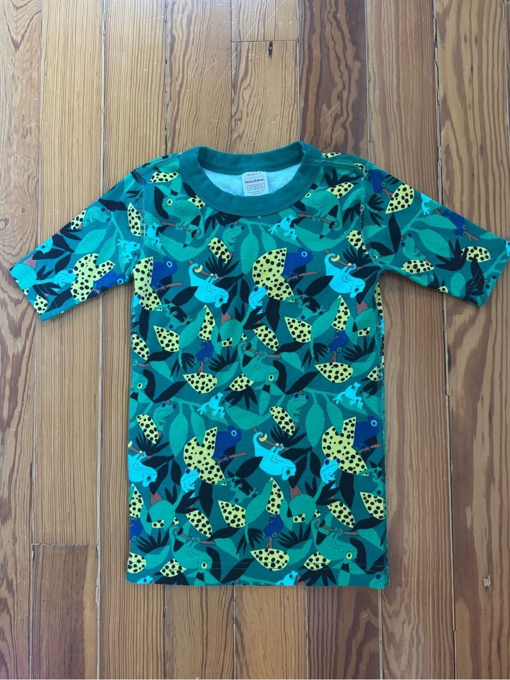 Hanna Andersson Chameleon PJ Top
